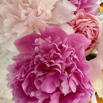 Burst + Bloom - Peonies - Florists Near Me - Carmel, California Burst + Bloom - Peonies - Florists Near Me - Carmel, California