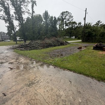 J&A Tree Removal - Tree Services Near Me - Jacksonville, Florida J&A Tree Removal - Tree Services Near Me - Jacksonville, Florida