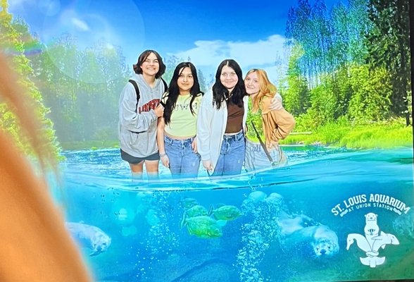 St. Louis Aquarium at Union Station by null