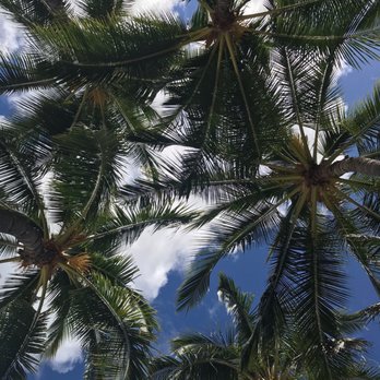 Magic Island - Parks Near Me - Honolulu, Hawaii Magic Island - Parks Near Me - Honolulu, Hawaii