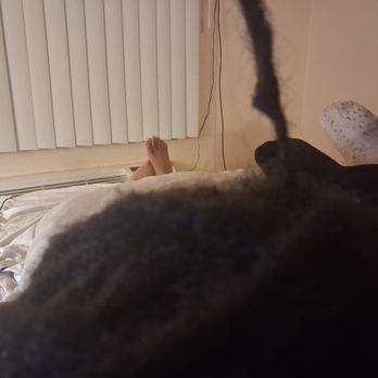 Peggy's Mobile Hair Braiding and Dreadlocks - Hair Stylists Near Me