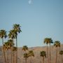 Photo of Hope Palm Desert