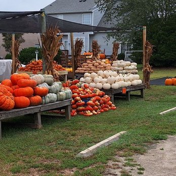 DJ's Berry Patch - Do-It-Yourself Food Near Me - Apex, North Carolina DJ's Berry Patch - Do-It-Yourself Food Near Me - Apex, North Carolina