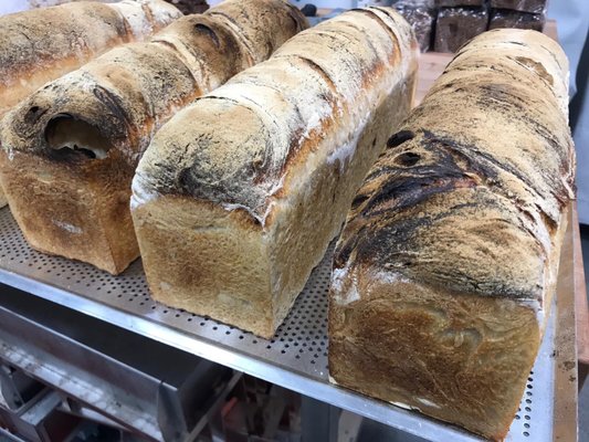 Palma Bread - home of the cinnamon bun by null