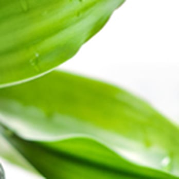 The Derm Lounge Med Spa - Medical Spas Near Me - Dallas, Texas The Derm Lounge Med Spa - Medical Spas Near Me - Dallas, Texas
