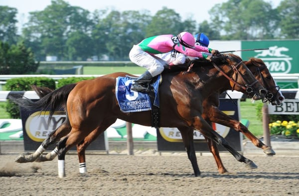 Belmont Park by null