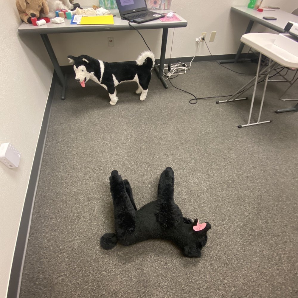 PetTech - Pet Services Near Me - Littleton, Colorado PetTech - Pet Services Near Me - Littleton, Colorado