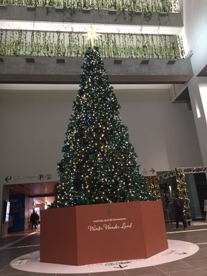 SAKURA MACHI Kumamoto by null