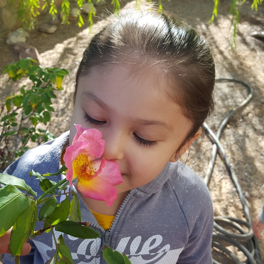 Kids Priority - childcare center in El Paso, TX