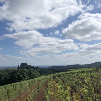Torii Mor Winery - Wine Tasting Room Near Me - Dundee, Oregon Torii Mor Winery - Wine Tasting Room Near Me - Dundee, Oregon