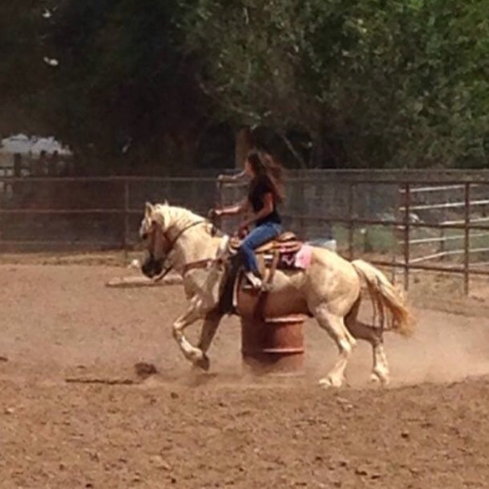 Orona's Ranch - Riding lesson at Orona's Ranch - Horseback Riding Near Me - Albuquerque, New Mexico Orona's Ranch - Riding lesson at Orona's Ranch - Horseback Riding Near Me - Albuquerque, New Mexico