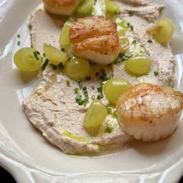 Scallops