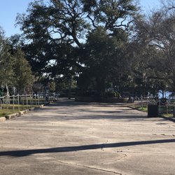 Panama City Publishing Company & Museum - Oldest Tree - over 300 years in park