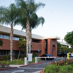 Vascular Intervention Specialists