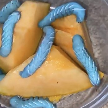 Rainbow Mealworms - Hornworms - Reptile Shops Near Me - Compton, California Rainbow Mealworms - Hornworms - Reptile Shops Near Me - Compton, California