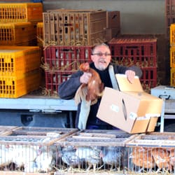 Marche de Plein Vent - Packing the merchandise - in you go!