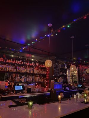 Lonely Siren by null