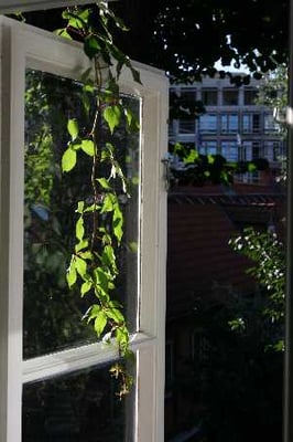 Frauenhotel Hanseatin by null