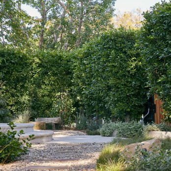 Viola Gardens - Landscaping Near Me - Malibu, California Viola Gardens - Landscaping Near Me - Malibu, California