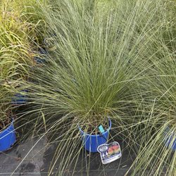 Distinctive Gardens