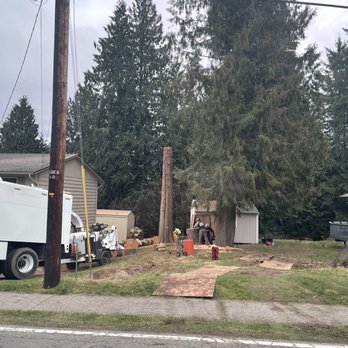 Kenny Tree - Tree Services Near Me - Snohomish, Washington