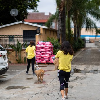 VIDA Rescue - Volunteers - Community Service/Non-Profit Near Me - Rowland Heights, California