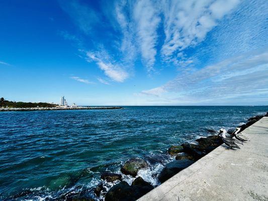 Bal Harbour Beach by null