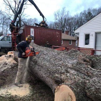 PA Tree Man - Tree Services Near Me - Jeannette, Pennsylvania PA Tree Man - Tree Services Near Me - Jeannette, Pennsylvania