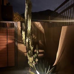 Goodroad Landscaping
