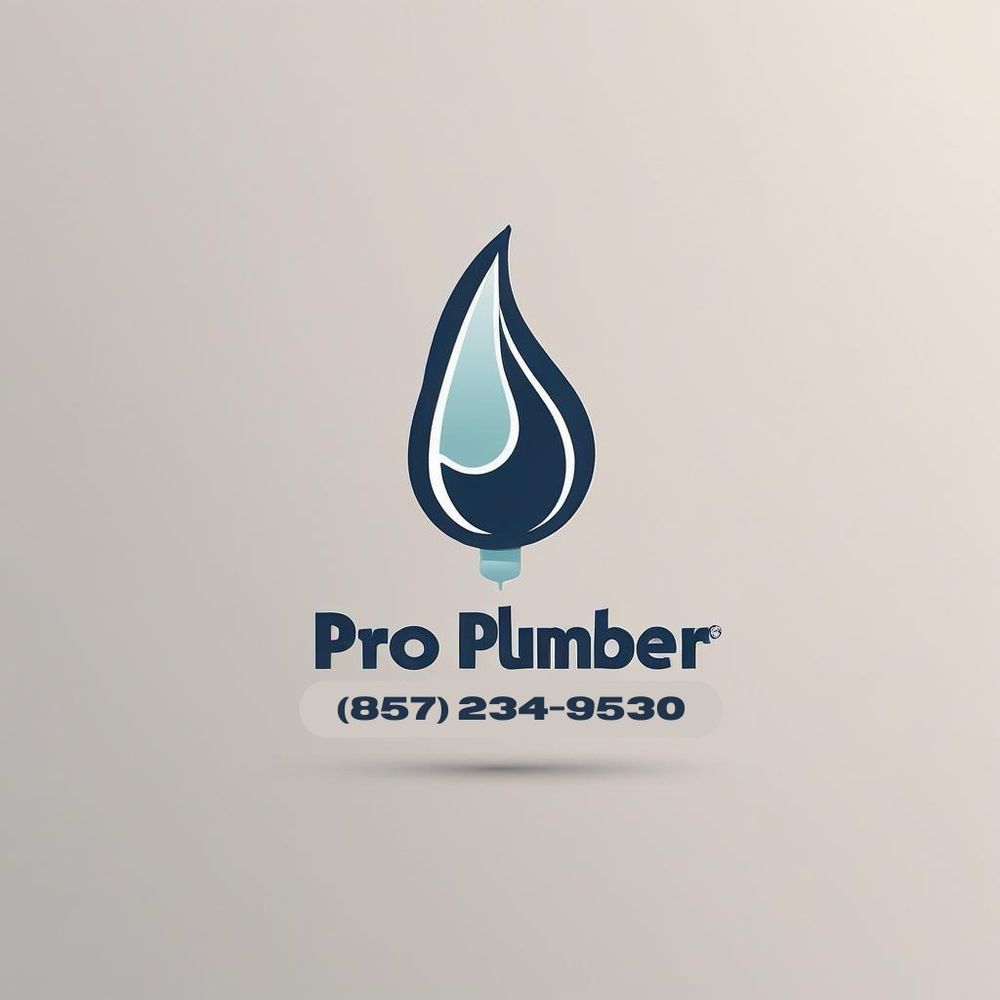 Slide of Pro Plumbers