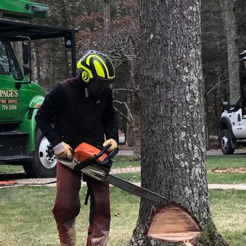 Page's Tree Service - Tree Services Near Me - Brooklyn, Connecticut