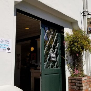 Diggidy Dog - Outside - Pet Stores Near Me - Carmel, California Diggidy Dog - Outside - Pet Stores Near Me - Carmel, California