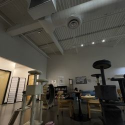 Cat Haven Lounge - Inside