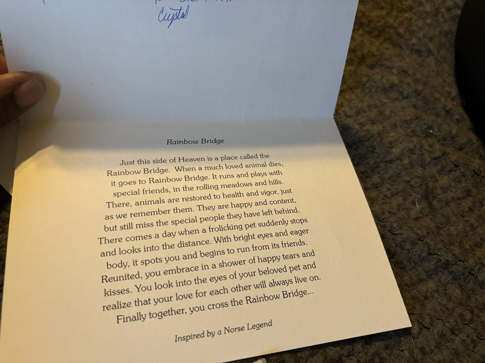 TOWN & COUNTRY VET CLINIC Updated October 2024 11 Reviews 13430