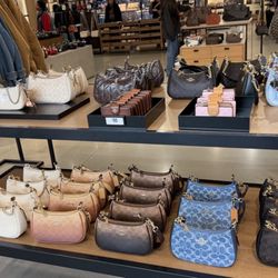 Coach - Cute tiny gangs at from entrance, vibrant colors