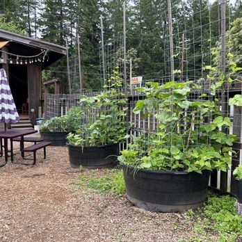 The Peg House - Garden - Convenience Stores Near Me - Leggett, California
