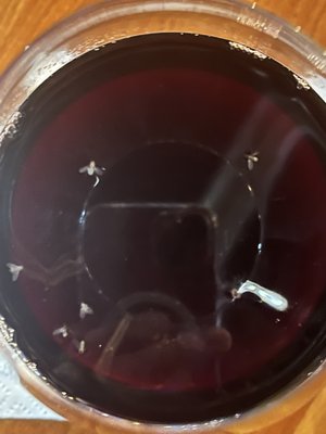 La Wine Bar & Restaurant by null