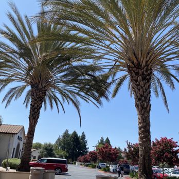 Yes Yogurt - View from patio - Ice Cream & Frozen Yogurt Near Me - Morgan Hill, California Yes Yogurt - View from patio - Ice Cream & Frozen Yogurt Near Me - Morgan Hill, California