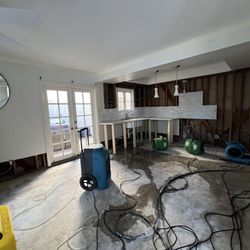 WD Contractor Services