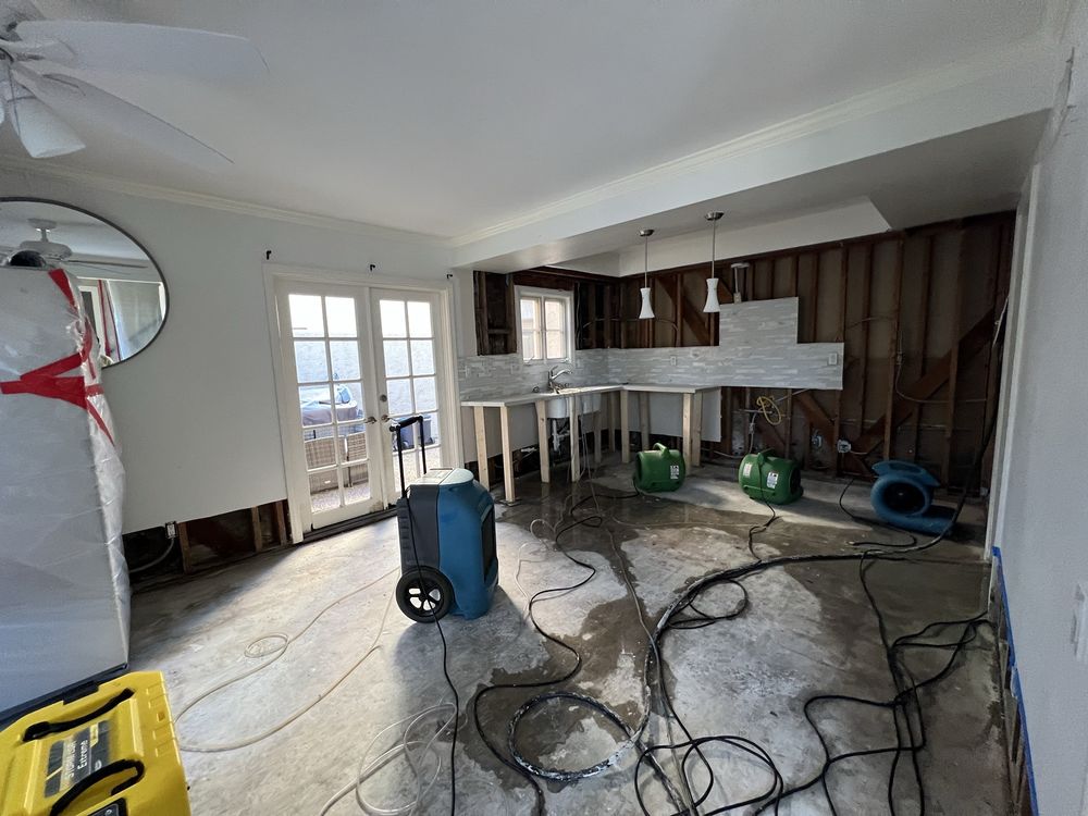 WD Contractor Services - mold inspector in Encino, CA