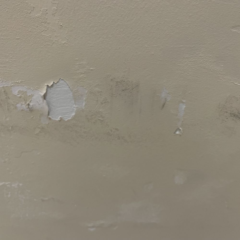 CareOne at Lexington - Large patch of peeling paint in the squalid bathroom. - Retirement Homes Near Me - Lexington, Massachusetts CareOne at Lexington - Large patch of peeling paint in the squalid bathroom. - Retirement Homes Near Me - Lexington, Massachusetts