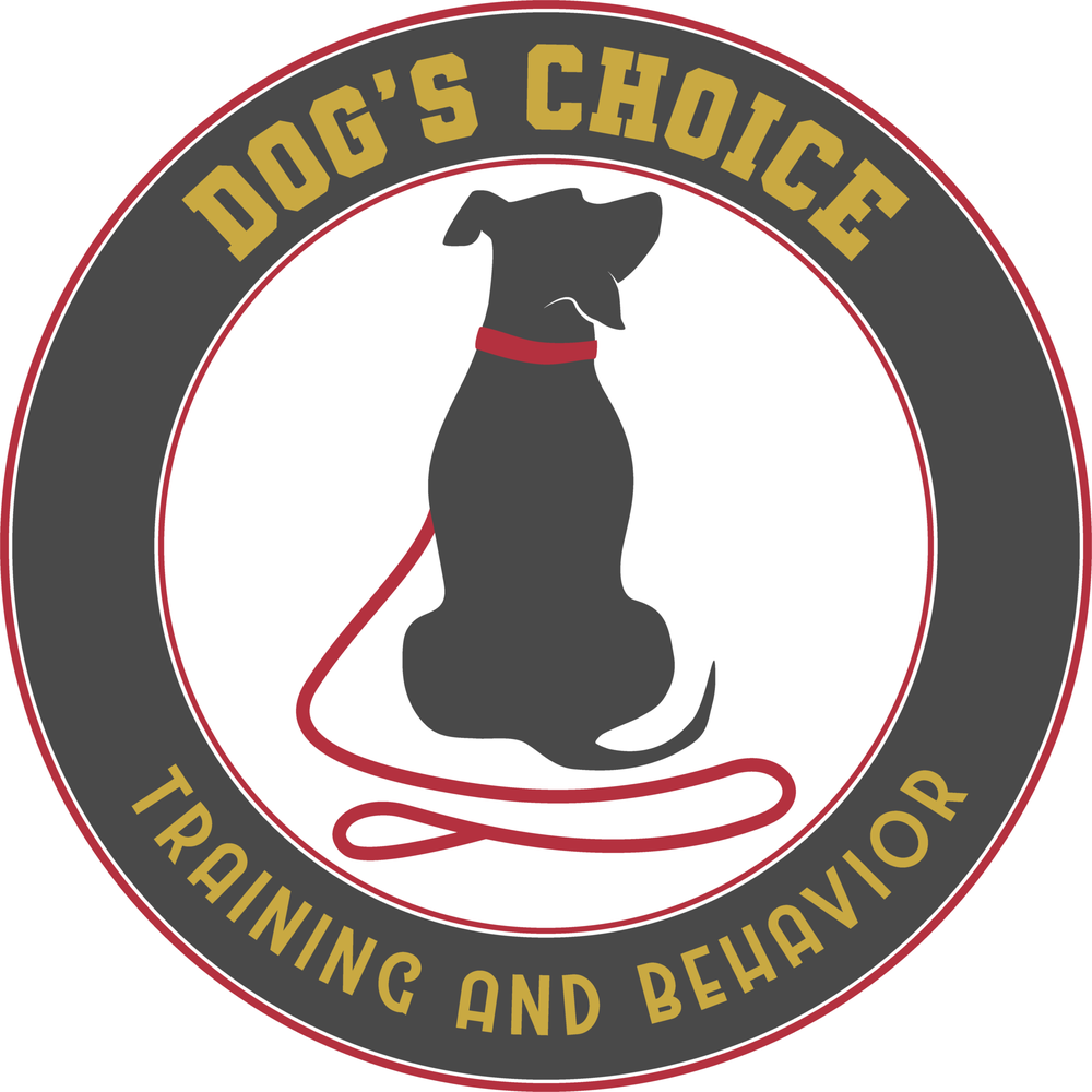Dog's Choice Training and Behavior - pet boarding facility in Auburn, NH