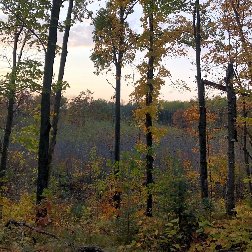 Veterans Memorial Park - Fall scenery - Campgrounds Near Me - Deerbrook, Wisconsin