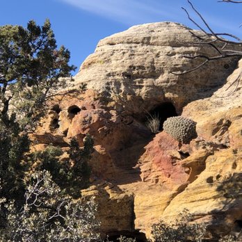 Mild To Wild Rhino Tours - Tours Near Me - Springdale, Utah Mild To Wild Rhino Tours - Tours Near Me - Springdale, Utah