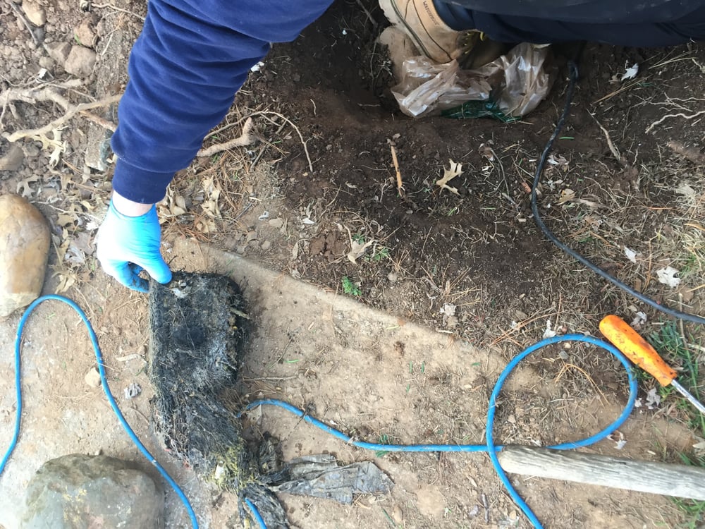 Slide of Rush Rooter Sewer & Drain Cleaning