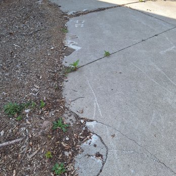 Chapines Tree Service Landscaping - Landscaping Near Me Chapines Tree Service Landscaping - Landscaping Near Me