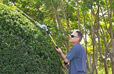 American Tree Company