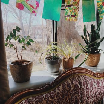Wild Iris Coffee House - Plants decor ! Cute - Bakeries Near Me - Prescott, Arizona