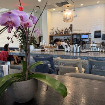 Cupitol Coffee & Eatery - Bar area - Breakfast & Brunch Near Me - Skokie, Illinois Cupitol Coffee & Eatery - Bar area - Breakfast & Brunch Near Me - Skokie, Illinois