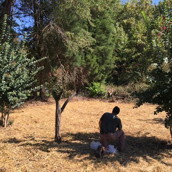 Cut N Cruz - a man sitting under a tree - Landscaping Near Me Cut N Cruz - a man sitting under a tree - Landscaping Near Me